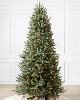 Nantucket Blue Spruce® Narrow