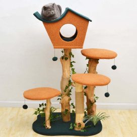 ❤️The Best Gift For Your Cats