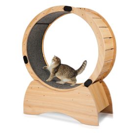 49.6" H Conine Cat Perch