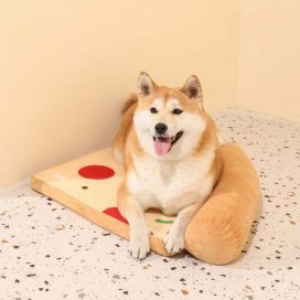 Fun Toys Mat Pizza Cat Bed